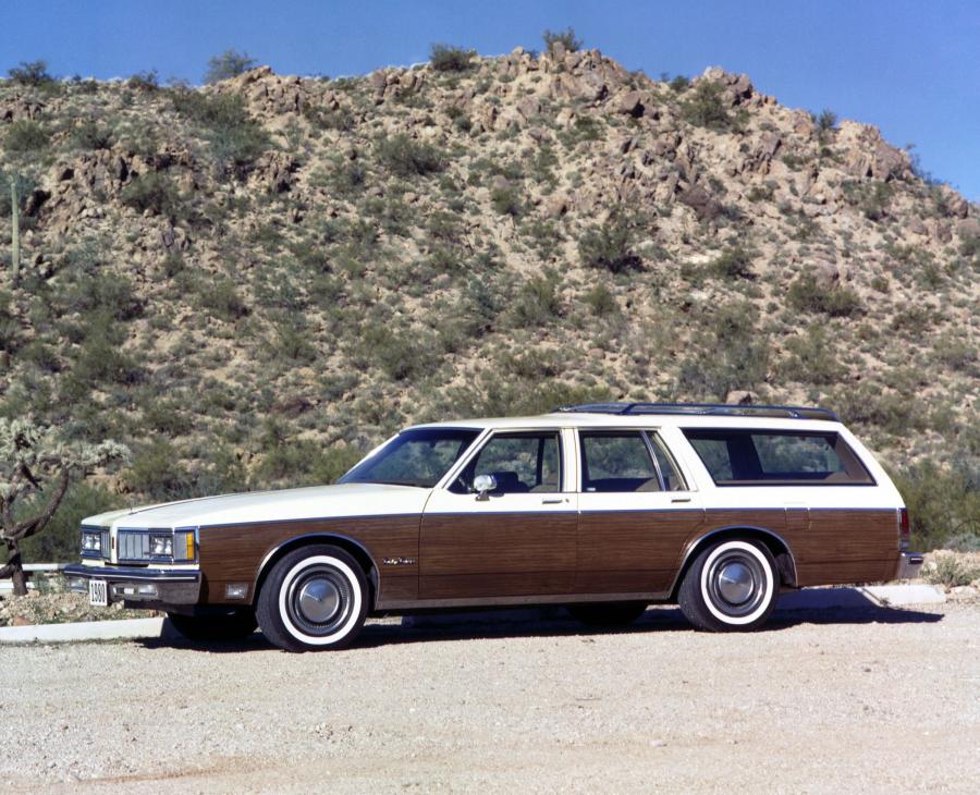  Oldsmobile Custom Cruiser 1980 года  (фото 1 из 3)